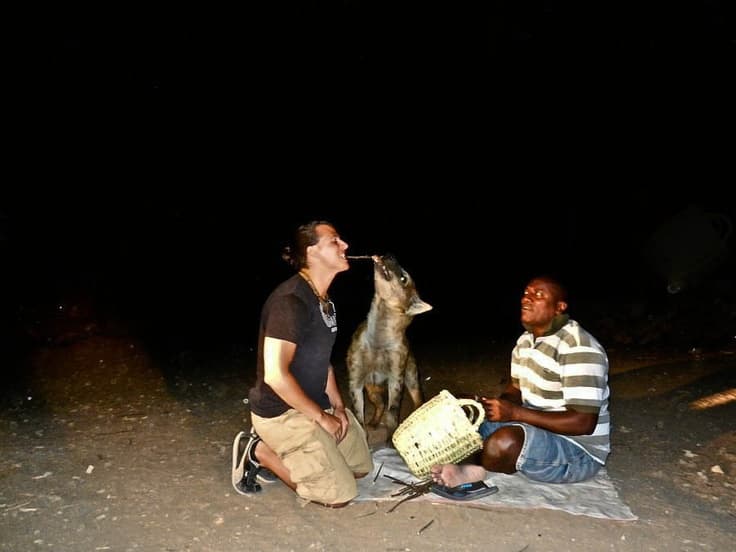 Harar Hyena Feeding in Harar